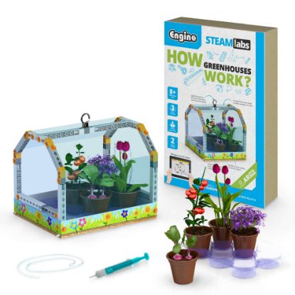 Picture of STEAM Labs How Greenhouses work?